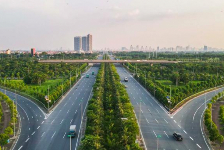 Vụ 'thổi giá cây xanh' Hà Nội: Đường đi của cây trồng nhập lậu từ Trung Quốc