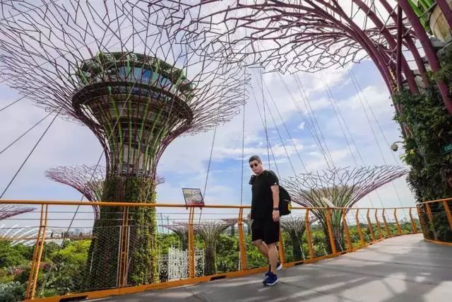 Sạch đẹp thôi chưa đủ, Singapore còn chi hàng nghìn tỷ đồng xây dựng vườn nguyên sinh khổng lồ tuyệt đẹp - 4