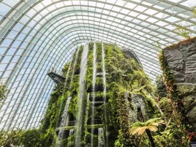Sạch đẹp thôi chưa đủ, Singapore còn chi hàng nghìn tỷ đồng xây dựng vườn nguyên sinh khổng lồ tuyệt đẹp