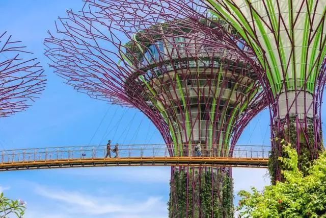 Sạch đẹp thôi chưa đủ, Singapore còn chi hàng nghìn tỷ đồng xây dựng vườn nguyên sinh khổng lồ tuyệt đẹp - 3