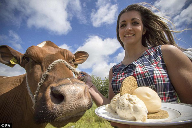 Mùa hè này bạn có dám ăn thử kem được làm từ nội tạng động vật không? - 1