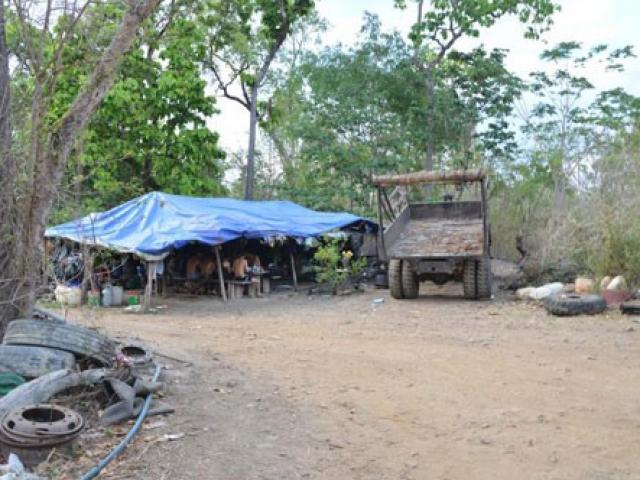 Triệt phá đường dây gỗ lậu của trùm Phượng ”râu”