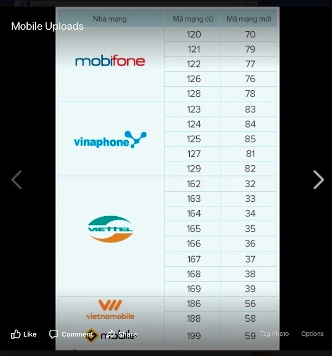 VinaPhone và MobiFone đã chuẩn bị gì để chuyển thuê bao 11 số thành 10 số? - 1