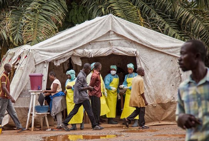 Bộ Y tế họp khẩn, xác định nguy cơ dịch bệnh Ebola vào Việt Nam - 1