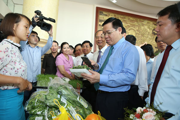 Phó Thủ tướng Vương Đình Huệ nếm vải thiều ngon nhất trong lịch sử ở Lục Ngạn - 1