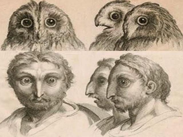Cuộc sống con người sẽ ra sao nếu tiến hóa thành chim?