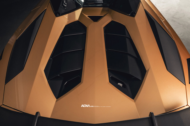 Trái tim của Lamborghini Aventador SV Roadster là động cơ nạp khí tự nhiên V12 6.5L, công suất 750 mã lực tại vòng tua máy 8.400 vòng/phút và mô-men xoắn cực đại 690Nm, hộp số ISR 7 cấp, hệ dẫn động bốn bánh Haldex thế hệ IV. Xe chỉ mất 2,8 giây để tăng tốc 0-100 km/h trước khi đạt vận tốc tối đa theo giới hạn điện tử trên 350 km/h.
