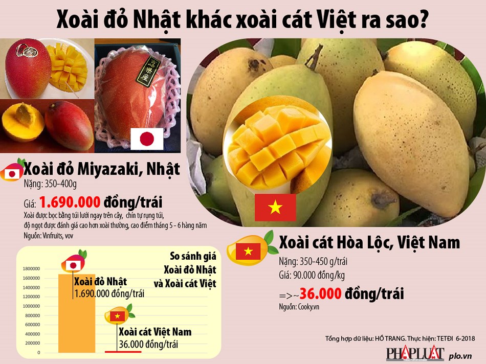 Xoài đỏ Nhật 1,7 triệu/trái khác xoài đặc sản Việt ra sao? - 1