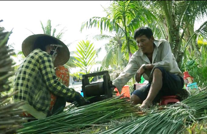 Lạ mà hay: Trồng loài cỏ dại dân ở đây lại khá, giàu - 3