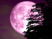 Ngày mai, hiện tượng trăng hồng độc đáo sẽ xuất hiện
