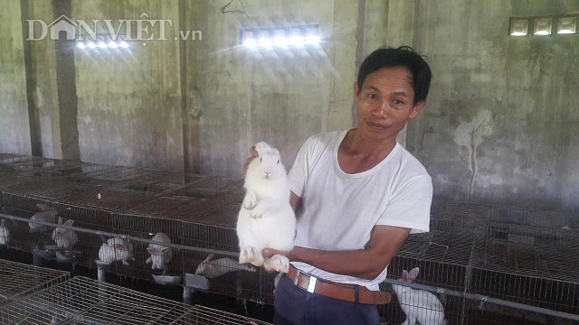 Làm giàu ở nông thôn: Nuôi thỏ bắt ăn kham khổ, bán đắt như tôm tươi