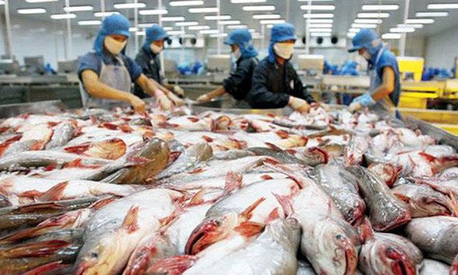 Mỹ bất ngờ đẩy mức thuế bán phá giá cá tra Việt Nam lên cao