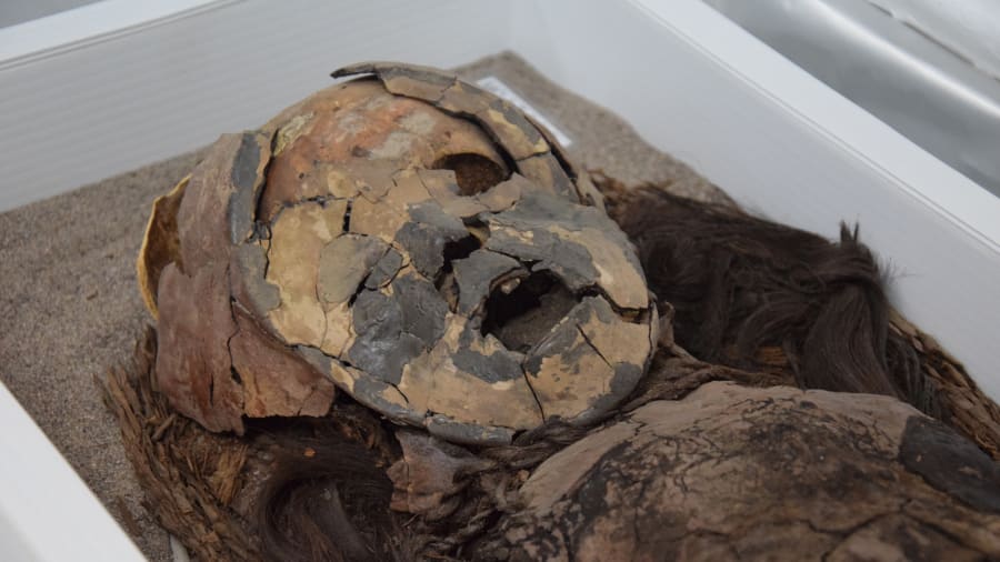Phát hiện xác ướp cổ nhất thế giới tại nơi không ai ngờ tới - 1