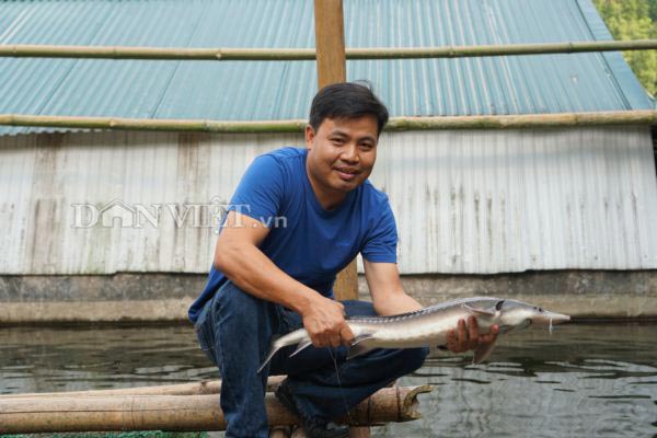 Trai Hà thành bỏ nghề giáo viên, "bén duyên" với cá..."tên lửa"