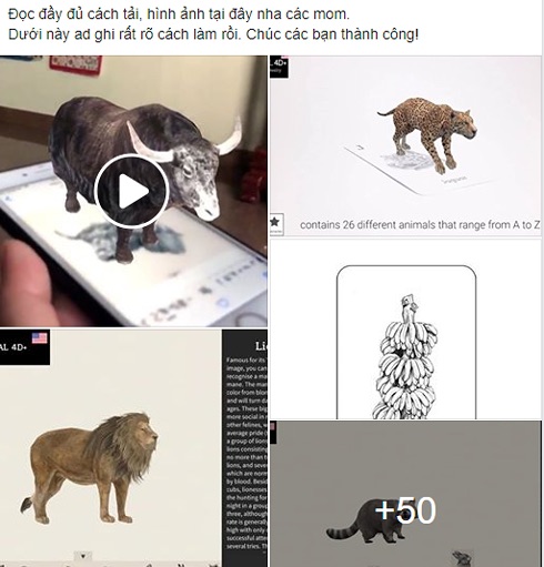 Bộ sưu tập ảnh con vật 4D cho Animal 4D  Chiếu ảnh 4D hình con vật