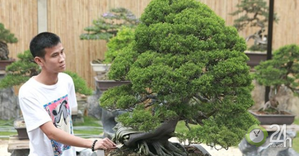Choáng ngợp vườn bonsai Nhật tiền tỷ giữa đất Bắc Giang