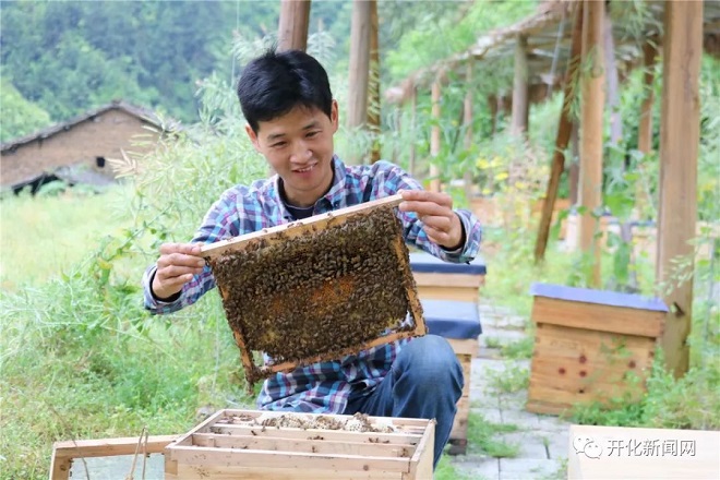 Kiếm trăm triệu nhờ nuôi ong sau nhiều lần khởi nghiệp thất bại