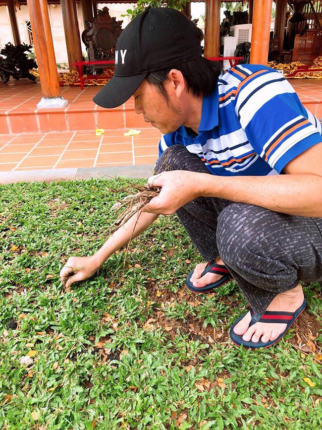 Là một người yêu cây cảnh và có sở thích làm vườn, nghệ sĩ Hoài Linh thích dành thời gian rảnh rỗi trong ngày để chăm cây cối.