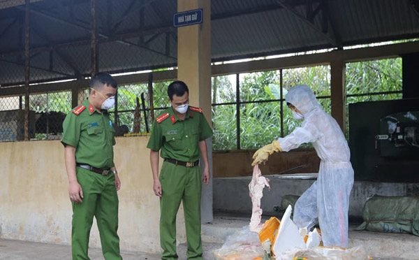 Kinh khủng: Lạng Sơn bắt 6 tạ nầm lợn nhập lậu ướp hóa chất bốc mùi