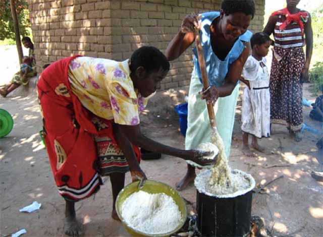Thực phẩm chống đói ở châu Phi nhưng ở nhiều nước khác không được sử dụng - 1