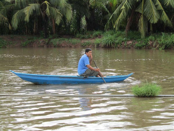 Làm giàu ở nông thôn: Đổi đời nhờ nuôi loài cá bông lau