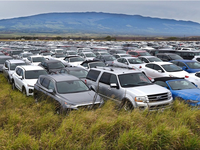Hàng nghìn chiếc ô tô nằm trên cánh đồng do nhu cầu thuê giảm mạnh. Khách ở nhà tránh Covid-19, không ai thuê khiến cho các công ty chuyên cho thuê ô tô đau đầu.