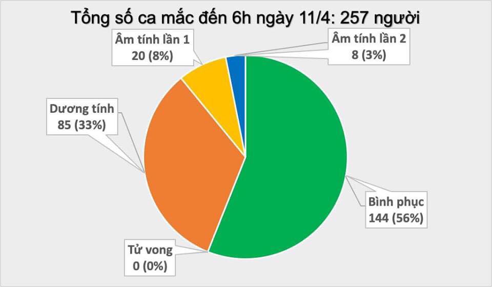 Việt Nam còn 113 ca mắc Covid-19 đang điều trị, không có ca bệnh mới trong 12 giờ qua - 1