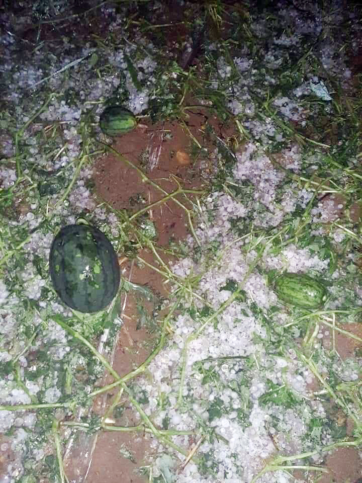 Mưa đá ào ào trút xuống trong đêm, phủ trắng nhiều nơi tại Lai Châu - 5