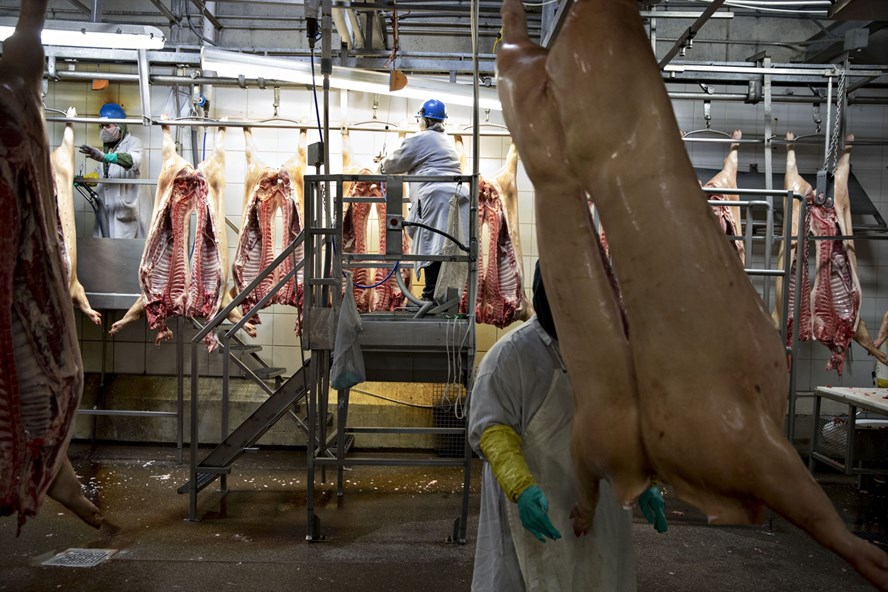 Hàng trăm công nhân nhà máy đóng gói thịt tại Mỹ dương tính với Covid-19 - 1