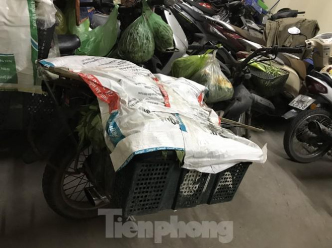 Mới nhất vụ Phó Chủ tịch phường xúc phạm người bán rau "Con điên này!" - 4