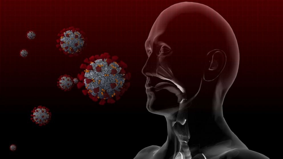 Hành trình phức tạp của virus SARS-CoV-2 trong cơ thể người - 1