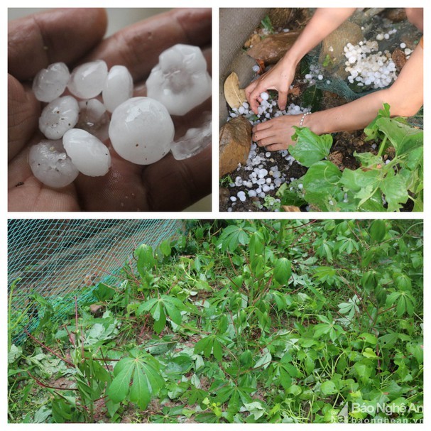 Mưa đá to như trứng cút trút xuống miền tây xứ Nghệ - 3