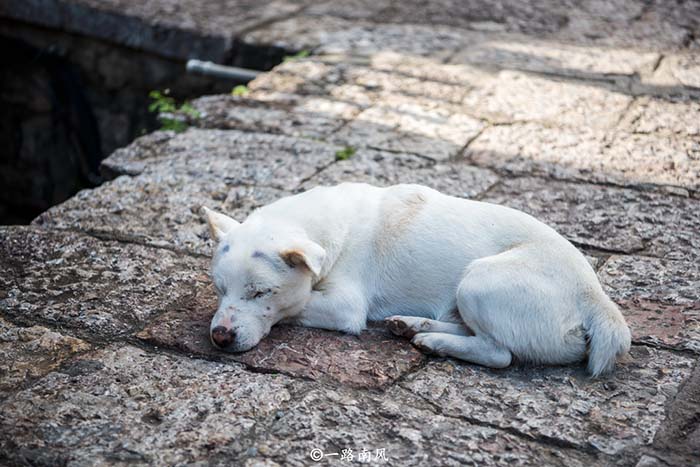 Thành phố "lười biếng" nhất Vân Nam, cảnh đẹp miễn chê mà người thì trái ngược - 10