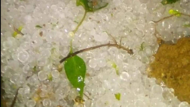 Cao Bằng: Nhiều gia đình chịu cảnh màn trời, chiếu đất vì mưa đá trong đêm - 3