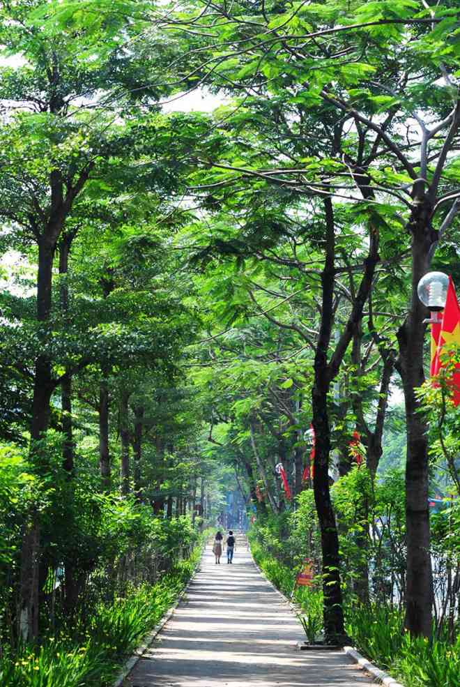 Cận cảnh tuyến đường đi bộ cực đẹp mới xuất hiện trên phố Thái Hà, Hà Nội - 3