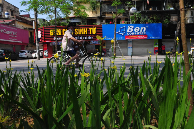 Cận cảnh tuyến đường đi bộ cực đẹp mới xuất hiện trên phố Thái Hà, Hà Nội - 9