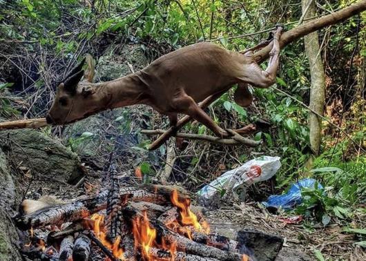 Tổng Biên tập tạp chí Sông Hương lên tiếng việc mình bị gán tội giết thịt động vật quý hiếm - 2