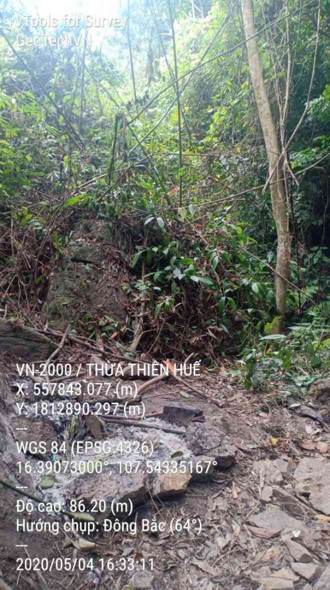 Loài động vật Tổng Biên tập Tạp chí Sông Hương nướng thịt là con dê nuôi - 2