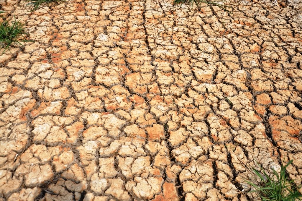 Nắng nóng năm 2020 có thể sẽ đạt kỷ lục, khốc liệt nhất trong vòng 140 năm - 3