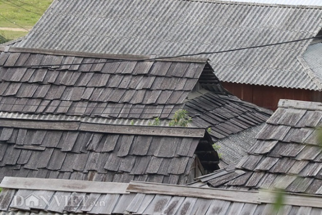 Clip: Kỳ lạ, nơi mái nhà quanh năm "phát ra mùi thơm" ở Sơn La - 4