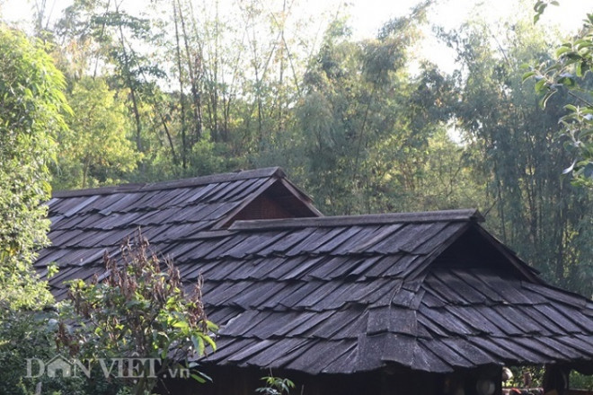 Clip: Kỳ lạ, nơi mái nhà quanh năm "phát ra mùi thơm" ở Sơn La - 5