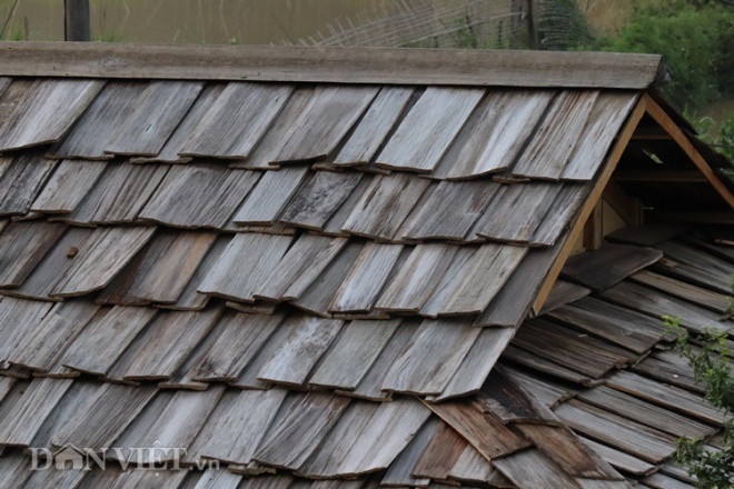 Clip: Kỳ lạ, nơi mái nhà quanh năm "phát ra mùi thơm" ở Sơn La - 9