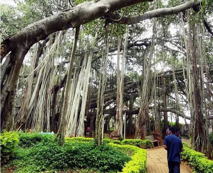 Những điều kỳ quặc chỉ có ở Ấn Độ - 10