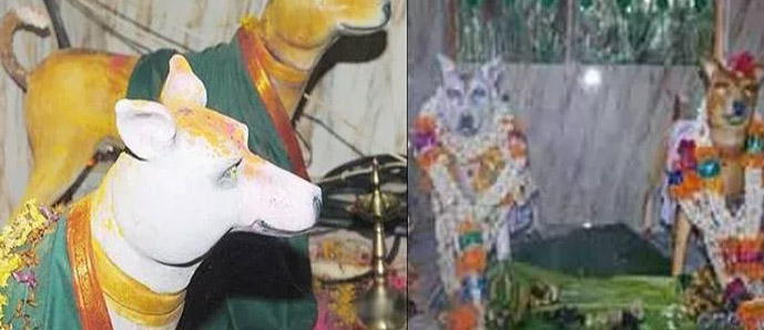 Những điều kỳ quặc chỉ có ở Ấn Độ - 12