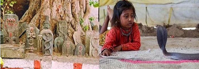 Những điều kỳ quặc chỉ có ở Ấn Độ - 5