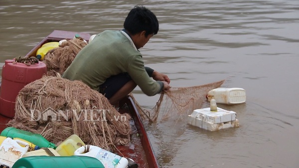 Theo chân ngư phủ sông Đà săn cá măng khủng ví như &#34;thủy quái&#34; - 1