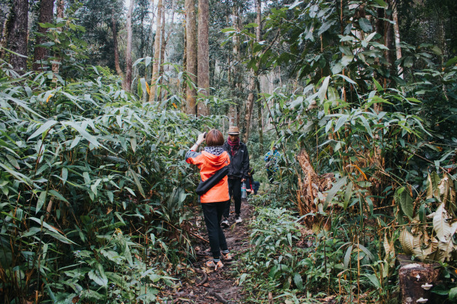 Đi tìm "Pha Luông mưa xa khơi" - 4