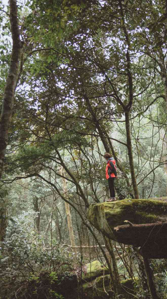 Đi tìm "Pha Luông mưa xa khơi" - 5