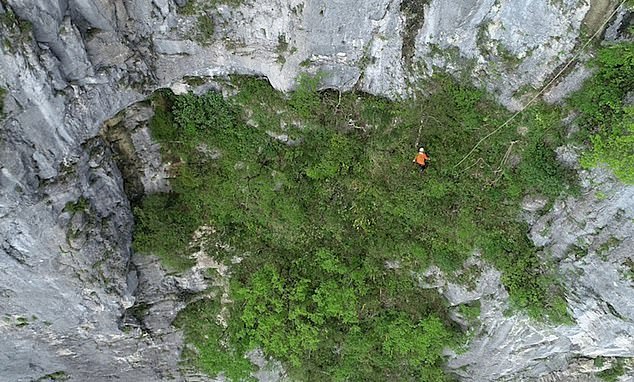 Công nhân nhặt rác trên vách núi dựng đứng tại khu du lịch nổi tiếng ở TQ - 1