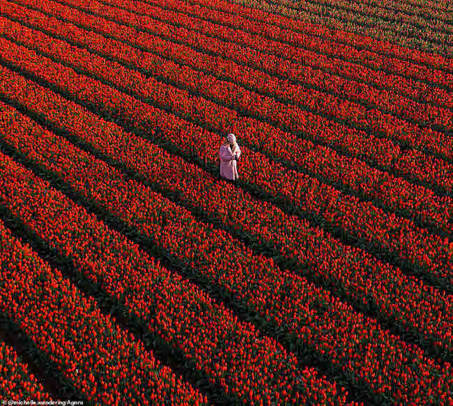 Phong cảnh Việt Nam lọt top ảnh mùa xuân đẹp nhất thế giới - 10